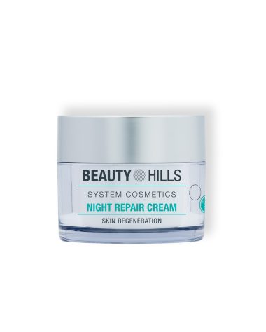 night_repair_01